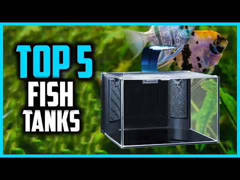 ✅Top 5 Best Fish Tanks for Beginners in 2024