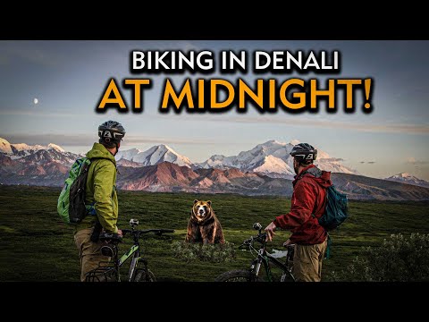 Denali National Park: Gold, Grizzlies and the Great One