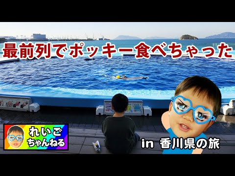 【香川旅行】レオマワールド、四国水族館、ゴールドタワー、紅梅亭に宿泊！子供が喜ぶ１泊２日の香川観光の旅 vlog