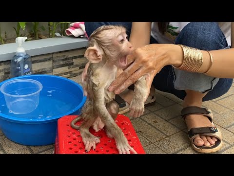 Mom Take A Bath For Little Cute Baby Boy Look Is Very Cute