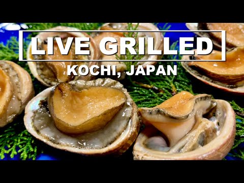 LIVE GRILLED SEAFOOD - Would You Eat This?