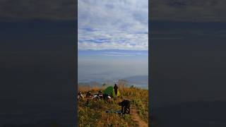 Camp on top of the world #camping #mountainescape #nature #mountainexperience #automobile