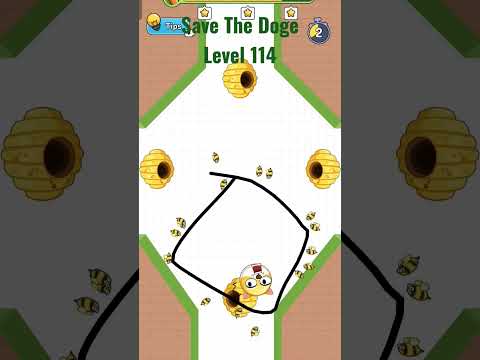 Square Protection. Save The Doge Level 114 Gameplay. #savethedoge #gameplay #walkthrough #gaming