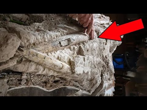 12 Most Amazing Archaeological Finds