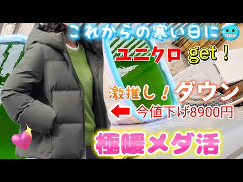 【メダカ】オススメ❗寒い冬もユニクロのダウンで暖かメダ活☺️お値下げ中！屋外でのオススメ服装✨#めだか#シームレスダウン#ユニクロ#シームレスダウンパーカ