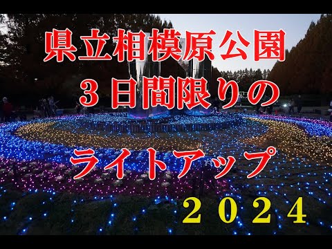 県立相模原公園３日間限りのライトアップ