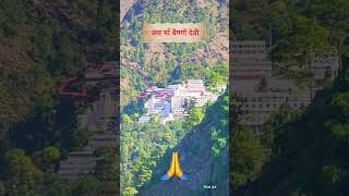 jai ma vaishno devi #matarani #maaambey #mavaishnodevi #maa #shortsfeed #maakadarbar