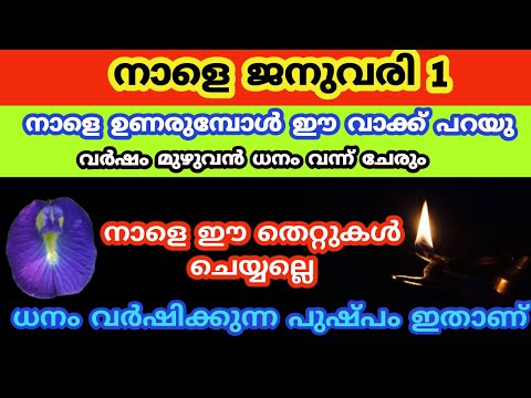 നാളെ വീട്ടിൽ കൊണ്ട് വരേണ്ട വസ്തുക്കൾ ... astrology.. jyothisham