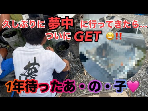 (メダカ)久々に楽園に行ってきた😆妥協しない代わりに一年待ちました！好きなメダカは最高だね‼️