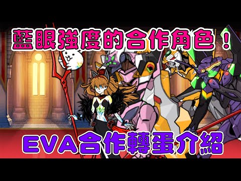 【貓咪研究室】藍眼強度的合作角色！第二隻黑凱降臨！EVA合作轉蛋介紹！《水羽 ほむら》【貓咪大戰爭】