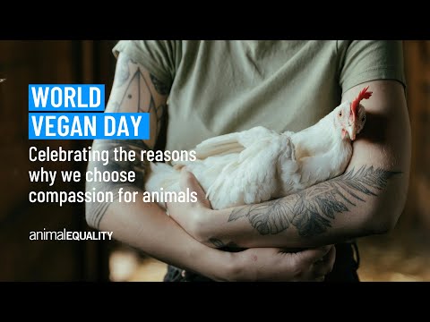 Why do we celebrate World Vegan Day?