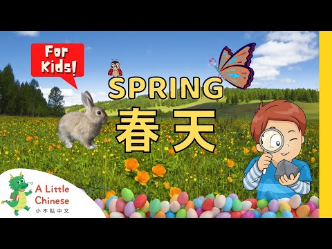 What Happens in Spring? Spring Facts in Traditional Chinese with Zhuyin 春天 | Chinese Videos for Kids