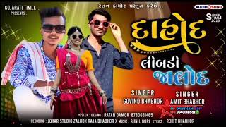 Govind Bhabhor & Amit Bhabhor New Song || દાહોદ લિબડી જાલોદ || Gujarati Timli @newstatustimli4844