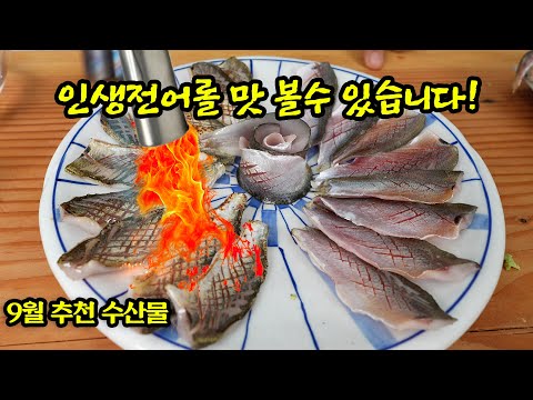 전어 통사시미회에 토치질하면 인생회가 됩니다!