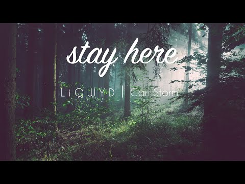 LiQWYD & Carl Storm - Stay Here [Official]