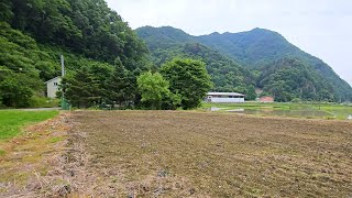 [거래종료][NO.128] 가평토지매매 275평 평당70만원 농막 주말농장 추천 #가평농막#가평주말농장#가평땅매매#가펴토지급매물#가평읍토지#가평전답