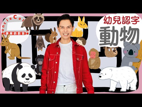 【動物伏匿匿】Animals in Cantonese I 熊貓 北極熊 袋鼠 猩猩猴子 蝙蝠 樹懶 樹熊 松鼠 刺蝟 狐狸 狸貓 I 幼兒認字 for Toddlers I 廣東話教室 I 字幕