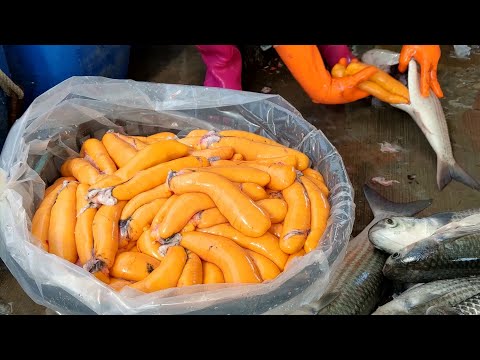 Mullet Cutting Skills-Mullet Roe Making ,Grilled Mullet Roe /烏魚切割技巧-烏魚子製作,烏魚子一口酥-Taiwan Street Food