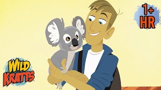 Koalas, Kangaroos & More! | Wild Kratts Animal Adventures for Kids | 9 Story Kids