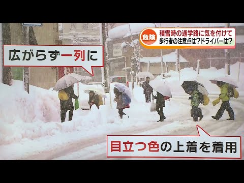 【子どもを守れ】 積雪時の通学路に潜む危険　歩行者やドライバーの注意点は？ 《新潟》