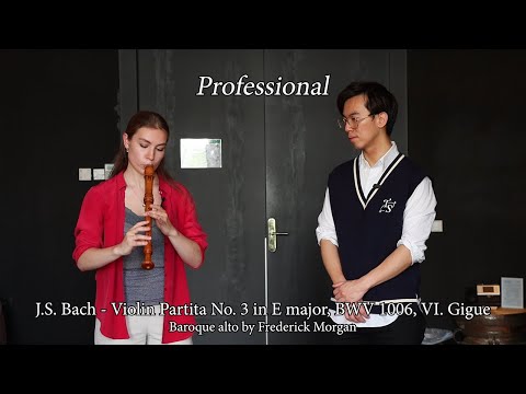 Professional vs Beginner Recorder