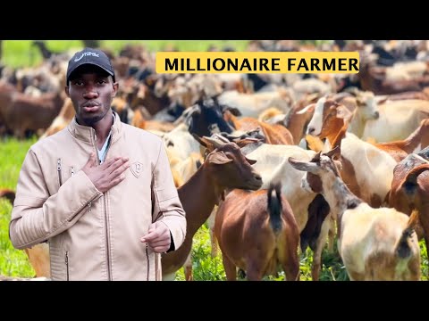 Reasons Why You Must do Zero-Grazing For GOATS | Detailed Video | 2024