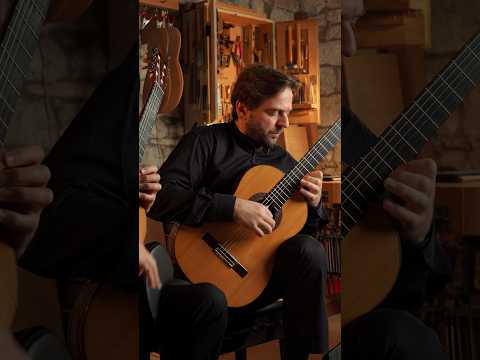 Concierto de Aranjuez - Rodrigo - 2nd mov. excerpt #guitar #rodrigo #classicalguitar #concerto