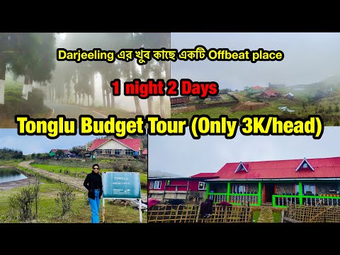 Tonglu Budget Tour || টোংলু ভ্রমণ || Tonglu Travel Guide