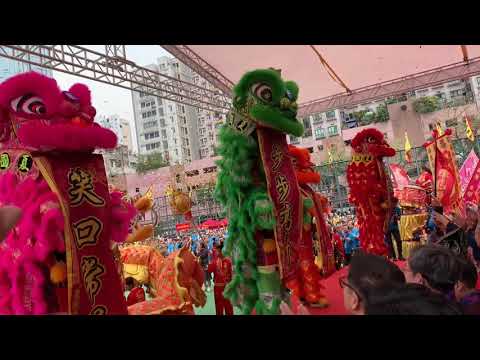 2019香港道教日@香港夏國璋龍獅團