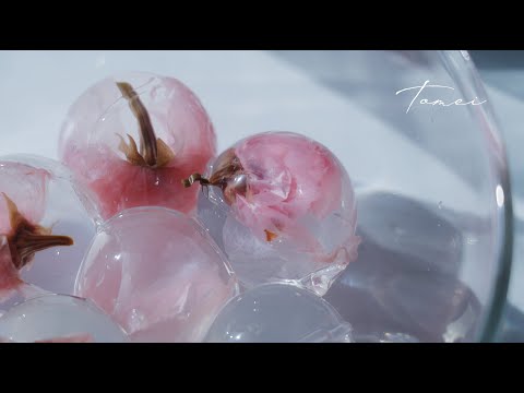 Beautiful Cherry Blossom Jelly to Welcome Spring.