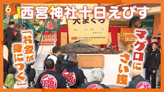 【マグロにさい銭】「えべっさん」西宮神社　１１００人前の「招福大まぐろ」奉納　「十日えびす」前に商売繁盛願う