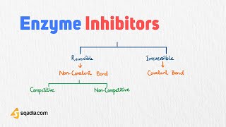 Enzyme Inhibitors | Competitive and Non-Competitive | Medical Student Biochemistry