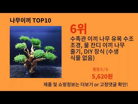 나무이끼 알면 바로 사는 알리익스프레스 추천템 BEST 10