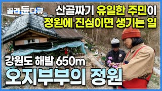 전기도 없는 오지에서 키우는 꽃과 나무가 트럭 6대 분량! 정원에 진심인 부부가 해발 650m 오지 산골에 가꾼 인생 정원🌺ㅣ 강원도 영월 ㅣ 한국기행 ㅣ #골라듄다큐