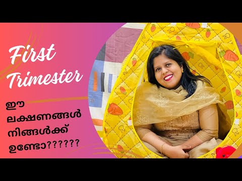 ഈ ലക്ഷണങ്ങൾ ഒക്കെ നിങ്ങൾക്കുണ്ടോ??? || first trimester signs and symptoms|| pregnancy vlog||