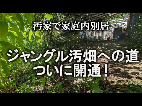 【片付け】全貌公開！荒れ過ぎで何もわからなかったけど、実は通路でした！｜汚部屋｜ズボラ主婦｜空き家｜汚庭｜庭仕事