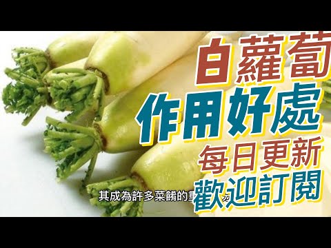 EP 186 白蘿蔔（Daikon Radish）的好處與作用 利尿排毒 礦物質 膳食纖維 低卡路里