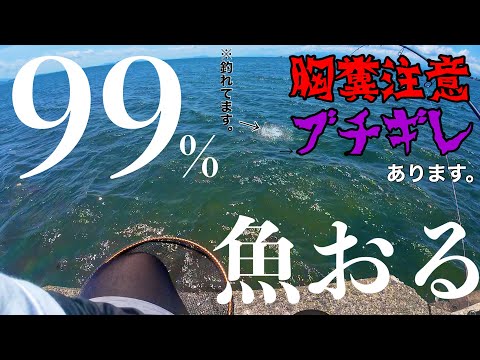 【胸糞注意】距離2mで割り込みされてブチギレかけたがええ魚釣れました…