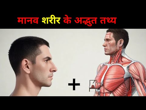 मानव शरीर के अद्भुत तथ्य | Amazing Facts About the Human Body