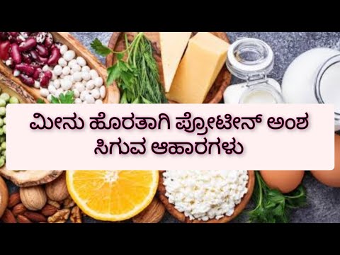 ಮೀನು ಹೊರತಾಗಿ ಪ್ರೋಟೀನ್ ಅಂಶ ಸಿಗುವ ಆಹಾರಗಳು || Protein Foods List in Kannada ||#viral#protein#food#ಕನ್ನಡ