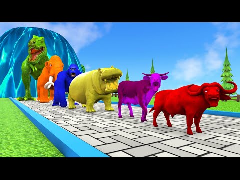 Paint Animals Cartoon | Cow, Mammoth Elephant, Gorilla, Buffalo, Hippo Fountain Crossing Animal Game