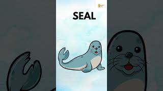 SEMI AQUATIC ANIMALS | @BTOONS-07  #educationalvideosforkids