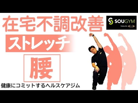 【腰痛ストレッチ】たったの2分！今すぐ腰痛を楽にするストレッチ