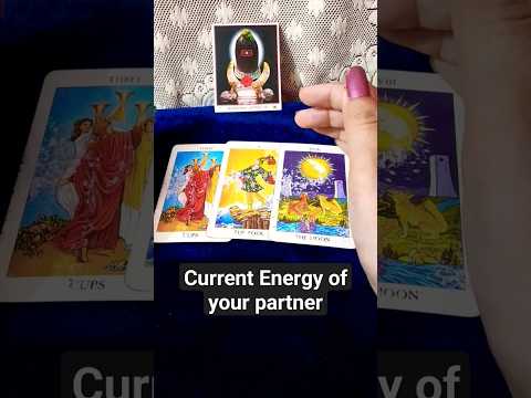 Current Feelings of your Partner #currentenergy #yourpartner #currentfeelings #tarotcardreading