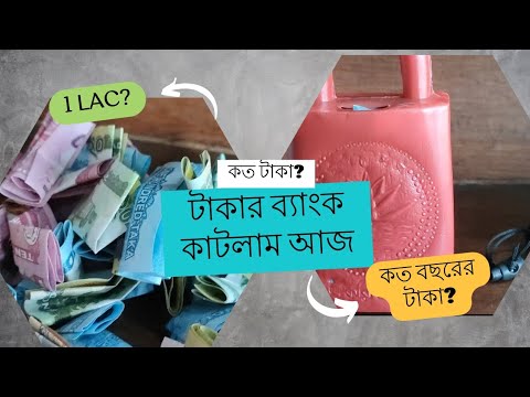 দেখুন প্লাস্টিকের ব্যাংকে কত টাকা জমালাম আমি। #art #blog #viralvideo