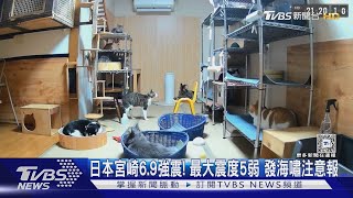 傻眼貓咪! 日本宮崎6.9強震 10貓全體定格｜TVBS新聞 @TVBSNEWS01