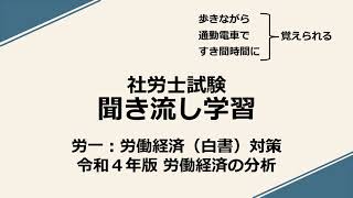 社労士聞き流し学習（労一：白書対策）「令和４年版労働経済の分析」