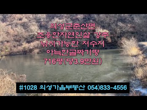 #1028 의성가음부동산 계곡중턱 남서향 확트인 복숭아밭 5년생 716평 2800만 (당3.9만) 전기가능 저수지위 개울물철철 자연인 주말농장용 #의성군땅#의성부동산#의성토지매매