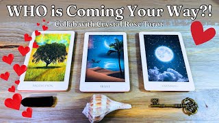 💞 Who is Coming Towards You?! 💗 Pick a Card Love Tarot Reading *Timeless *Detailed Collaboration!