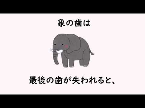 9割の人が知らない雑学54【明日の話のネタに】＃雑学　＃１分間